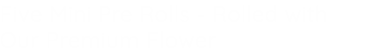 Five Mini Pre Rolls - Rolled with Our Premium Flower